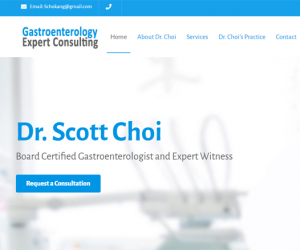 GastroEnterologyExpertConsult.com -
Implemented Elements:
WordPress, custom html, custom JavaScript & php, custom cascading style sheets Gastroenterologyexpertconsult.com